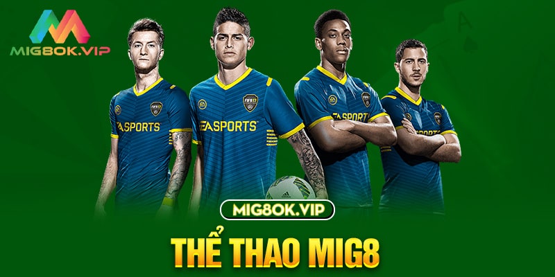 Hình minh họa — Tt88